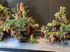 -梅间堂茶馆(绿地缤纷城店)