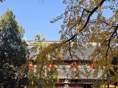 -西园戒幢律寺