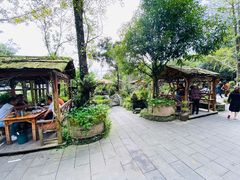 -青城甲(青城山店)