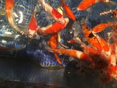 -左海海底世界