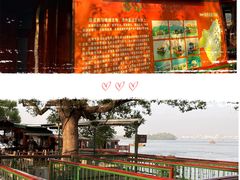 -西湖外事游船(花港观鱼码头)