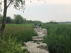 -绿堤公园