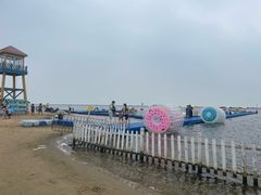 -碧海金沙