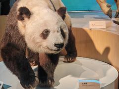 -陕西自然博物馆