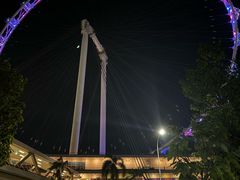 -新加坡摩天观景轮