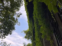 -老门东历史文化街区