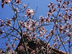 -东华门大街小区