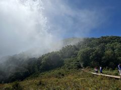 -白草畔自然风景区