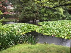 -北海道厅旧本厅舍(旧本庁舎)