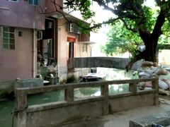 -小洲村