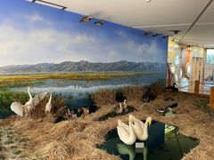 -延庆地质公园博物馆