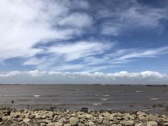 -吴淞炮台湾湿地森林公园烧烤区