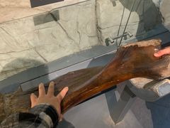 -大庆市博物馆