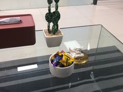 -福州肆爪动物医院