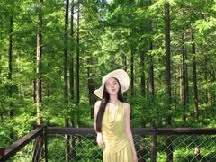 -黄海国家森林公园