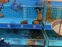 -喜来酌海鲜·饺子(和平一店)