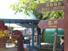 -金花茶公园