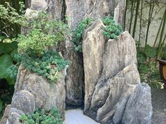 -上海醉白池公园
