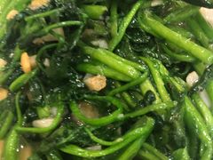 西洋菜-潮汕铺老店(甜水井店)