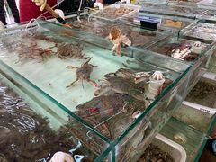 -南戴河海滨市场