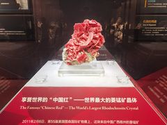 -湖南省地质博物馆