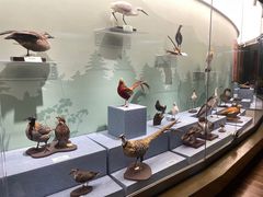 -陕西自然博物馆