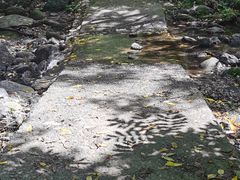 -云岫谷游猎自然风景区