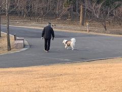 -广富林郊野公园-P5停车场