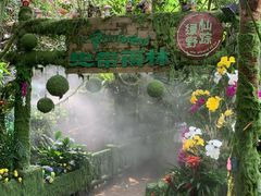 -青青世界