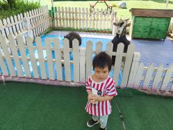 -萌宠亲子动物乐园(槐房万达店)