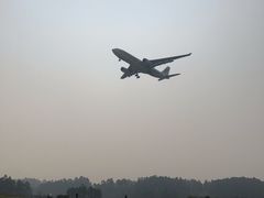 -空港花田景区
