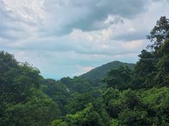 -广州市帽峰山景区