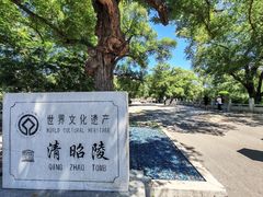 -北陵公园