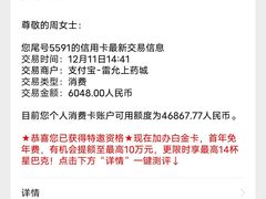 -雷允上(南京西路店)