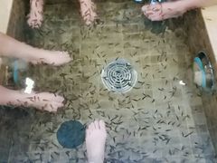 -中家鑫园温泉酒店鑫悦汤泉