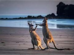-泉州海丝野生动物世界