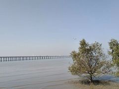 -宝安西湾红树林湿地公园