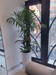 -魔型社烫染店