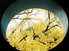 景点-无锡惠山寺