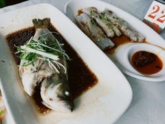 -云中小雅