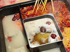 -二荆条·蜀鲜汇城市森林火锅