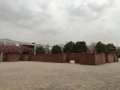-唐城墙遗址公园