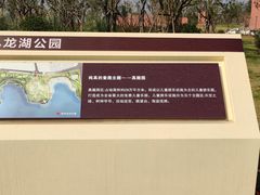 -九龙湖公园