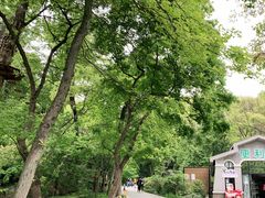 -WeLope紫金山探险公园