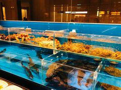 -许家菜(DT51店)