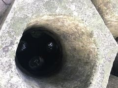 -杭州西湖风景名胜区-满觉陇四眼井