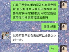 -宠爱国际动物医院· 猫科· 外科·中兽医(长白店)