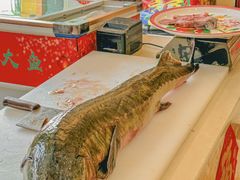 -老刘生态大鱼坊铁锅炖鱼(赛马场店)