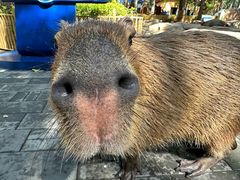 -北京野生动物园