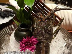 -揽季锅物会·海鲜姿造(五四路店)